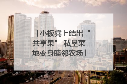 小板凳上结出“共享果” 私垦菜地变身睦邻农场