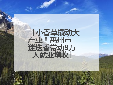 小香草撬动大产业！禹州市：迷迭香带动8万人就业增收