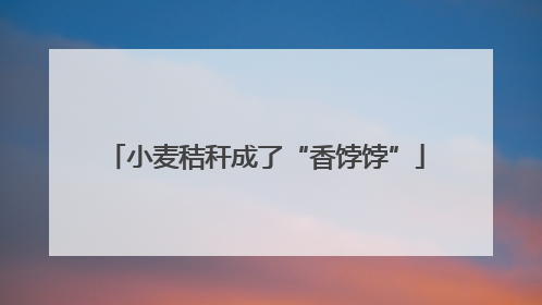 小麦秸秆成了“香饽饽”