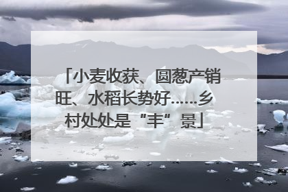 小麦收获、圆葱产销旺、水稻长势好……乡村处处是“丰”景