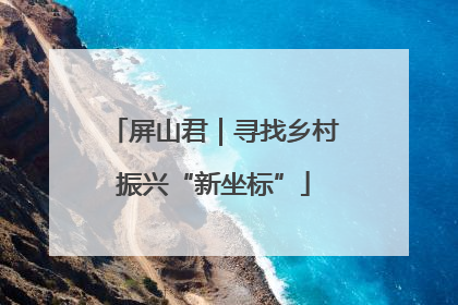 屏山君｜寻找乡村振兴“新坐标”