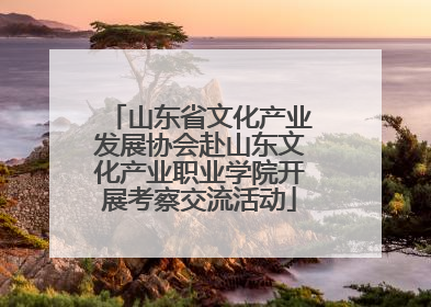 山东省文化产业发展协会赴山东文化产业职业学院开展考察交流活动