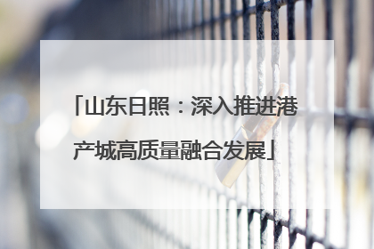 山东日照：深入推进港产城高质量融合发展