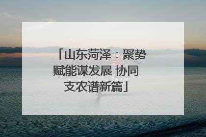 山东菏泽：聚势赋能谋发展 协同支农谱新篇