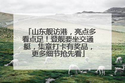 山东舰访港，亮点多看点足！登舰要坐交通艇，集章打卡有奖品，更多细节抢先看