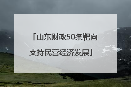 山东财政50条靶向支持民营经济发展