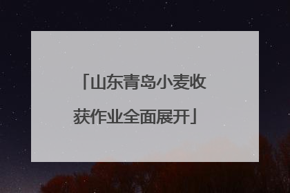 山东青岛小麦收获作业全面展开