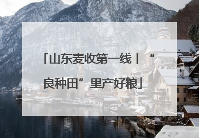 山东麦收第一线丨“良种田”里产好粮