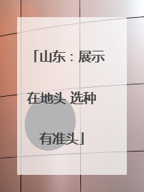 山东：展示在地头 选种有准头