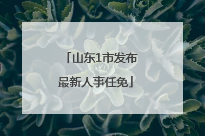 山东1市发布最新人事任免