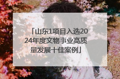 山东1项目入选2024年度文物事业高质量发展十佳案例