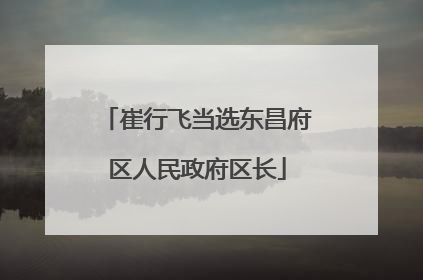 崔行飞当选东昌府区人民政府区长