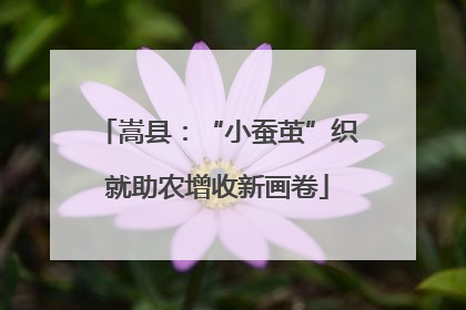 嵩县：“小蚕茧”织就助农增收新画卷