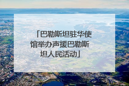 巴勒斯坦驻华使馆举办声援巴勒斯坦人民活动