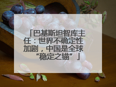 巴基斯坦智库主任：世界不确定性加剧，中国是全球“稳定之锚”