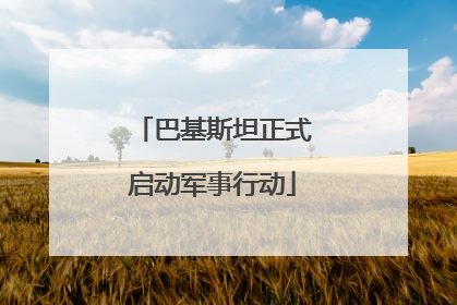 巴基斯坦正式启动军事行动