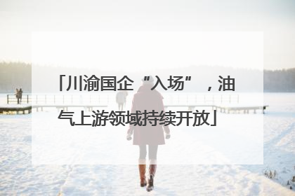川渝国企“入场”，油气上游领域持续开放