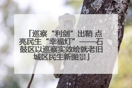 巡察“利剑”出鞘 点亮民生“幸福灯”——石鼓区以巡察实效绘就老旧城区民生新图景