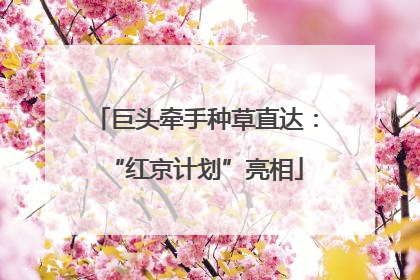 巨头牵手种草直达：“红京计划”亮相
