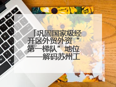 巩固国家级经开区外贸外资“第一梯队”地位——解码苏州工业园区样本