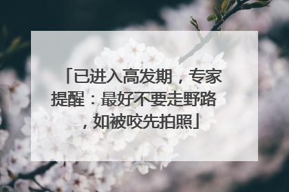 已进入高发期，专家提醒：最好不要走野路，如被咬先拍照