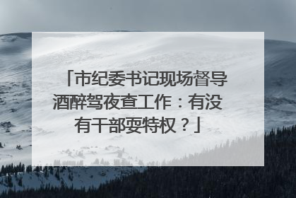 市纪委书记现场督导酒醉驾夜查工作：有没有干部耍特权？