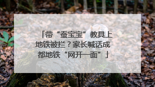 带“蚕宝宝”教具上地铁被拦？家长喊话成都地铁“网开一面”