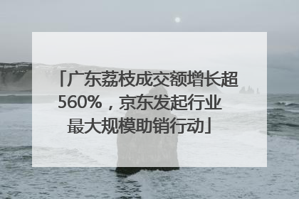 广东荔枝成交额增长超560%，京东发起行业最大规模助销行动