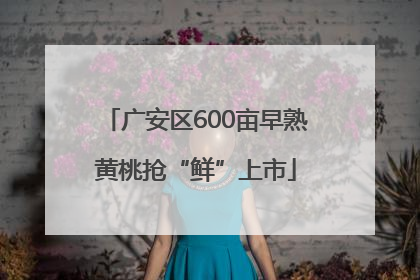 广安区600亩早熟黄桃抢“鲜”上市