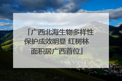 广西北海生物多样性保护成效明显 红树林面积居广西首位