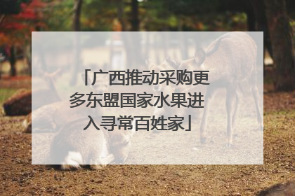广西推动采购更多东盟国家水果进入寻常百姓家