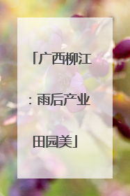 广西柳江：雨后产业田园美
