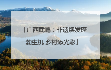 广西武鸣：非遗焕发蓬勃生机 乡村添光彩