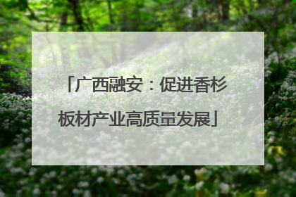 广西融安：促进香杉板材产业高质量发展