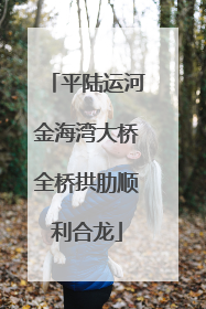 平陆运河金海湾大桥全桥拱肋顺利合龙