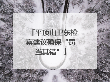 平顶山卫东检察建议确保“罚当其错”
