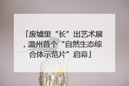 废墟里“长”出艺术展，温州首个“自然生态综合体示范片”启幕