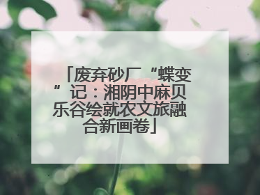废弃砂厂“蝶变”记：湘阴中麻贝乐谷绘就农文旅融合新画卷