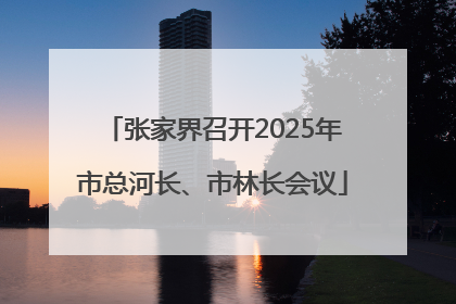 张家界召开2025年市总河长、市林长会议