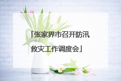 张家界市召开防汛救灾工作调度会