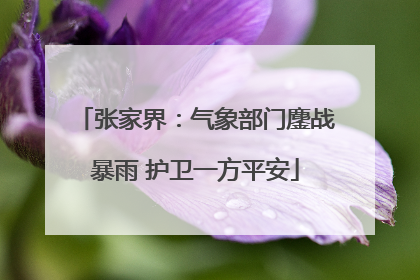 张家界：气象部门鏖战暴雨 护卫一方平安