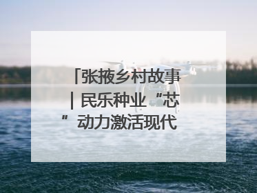 张掖乡村故事｜民乐种业“芯”动力激活现代农业新活力