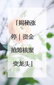 揭秘涨停｜资金抢筹核聚变龙头