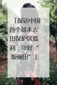 探访中国首个基本农田保护区监利：守好“饭碗田”