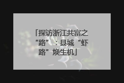 探访浙江共富之“路”：县城“虾路”焕生机