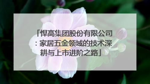 悍高集团股份有限公司：家居五金领域的技术深耕与上市进阶之路