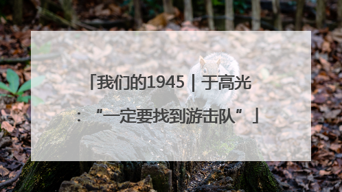 我们的1945｜于高光：“一定要找到游击队”