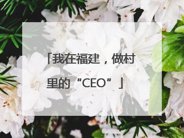 我在福建，做村里的“CEO”