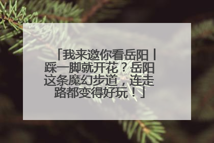 我来邀你看岳阳丨踩一脚就开花？岳阳这条魔幻步道，连走路都变得好玩！