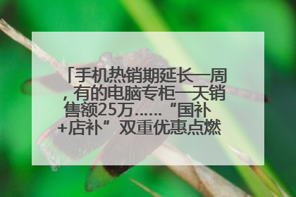 手机热销期延长一周，有的电脑专柜一天销售额25万……“国补+店补”双重优惠点燃德州“考后经济”
